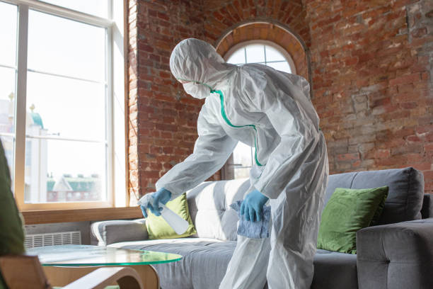 Why You Should Choose Our Mold Remediation Services in Wrangell, AK